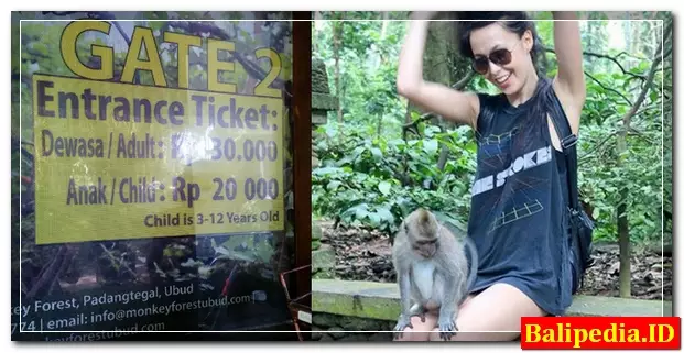 Tiket Masuk Monkey Forest Ubud