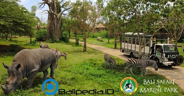 tiket bali safari 2023