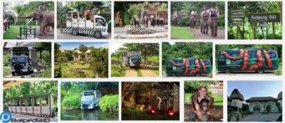 Foto Bali Safari And Marine Park
