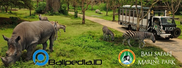 Bali Safari and Marine Park harga tiket domestik