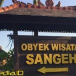 Ini Dia Harga Tiket Masuk Sangeh Bali 2018