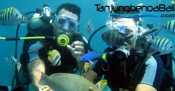 Scuba diving Tanjung Benoa Bali