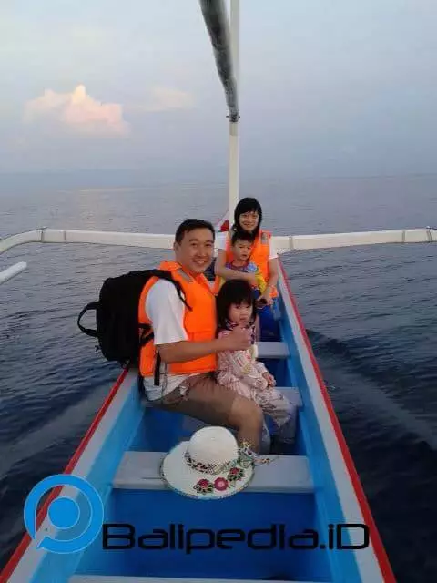 Lumba-Lumba Lovina Bali