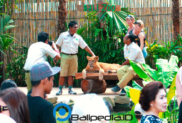 Animal Show Bali Zoo