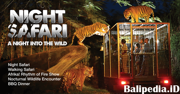 safari night tiket