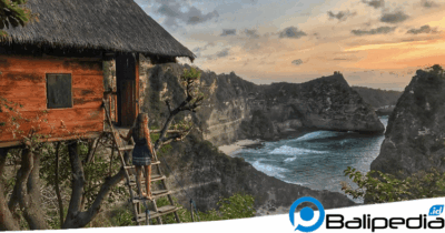 Rumah Pohon Molenteng