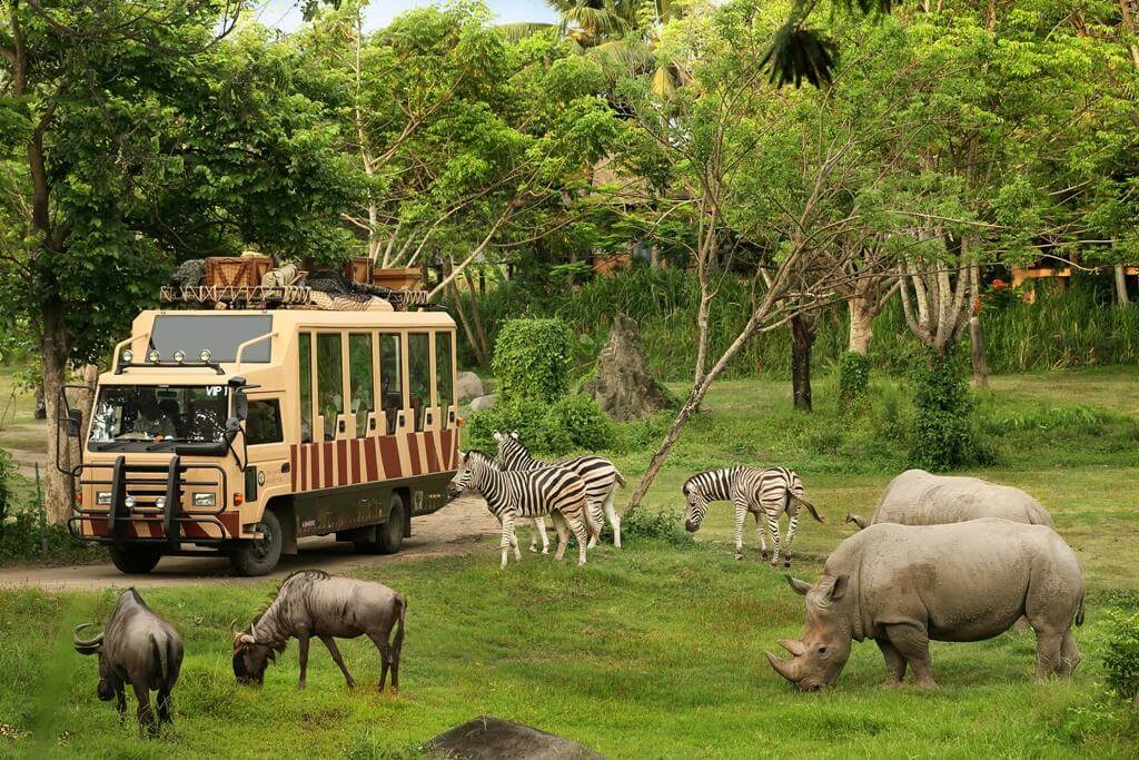 bali safari stay