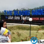 Ini Dia Harga Tiket Masuk The Blooms Garden Bedugul Bali 2025 – 2026