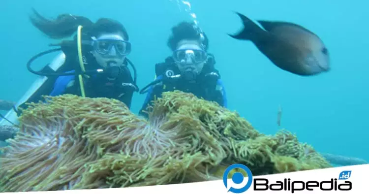 Scuba diving Tanjung Benoa