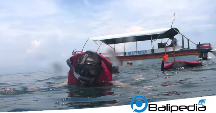 Snorkeling Tanjung Benoa Bali