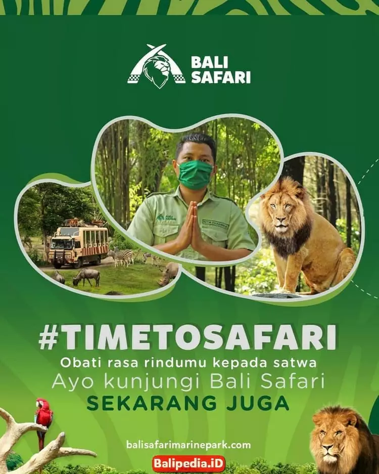 New Normal Bali Safari Park