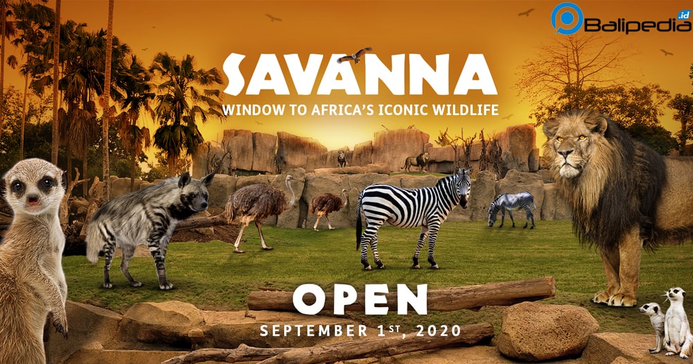 Savanna Bali Zoo