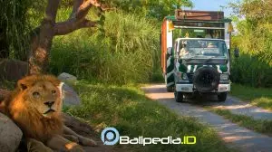 Bali Safari Journey Trip