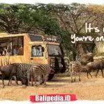 Bali Safari Marine Park – Bukan Hanya Kebun Binatang