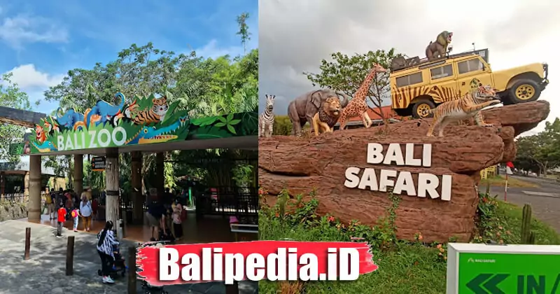 Perbedaan Bali Zoo dan Bali Safari Park