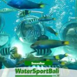 Seawalker Tanjung Benoa Bali, Sudah Pernah Coba?