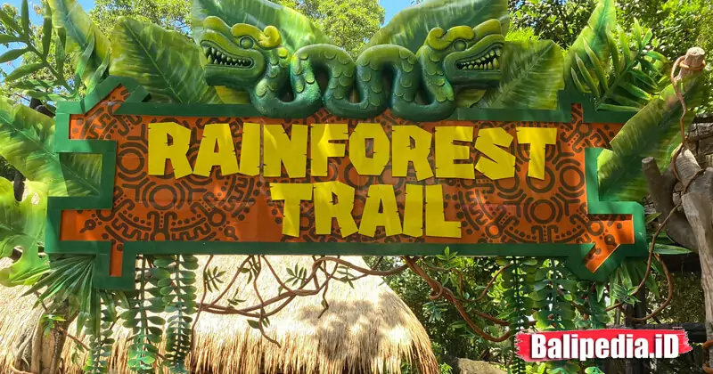 Rainforest Trail Bali safari