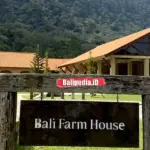Bali Farm House: Wisata Edukasi dan Petualangan Bersama Keluarga