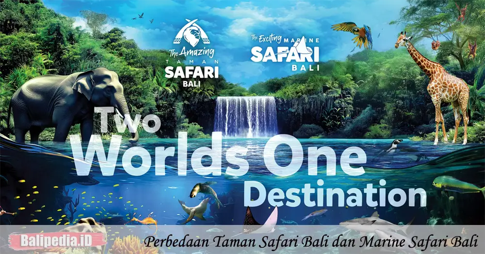 Perbedaan Taman Safari Bali dan Marine Safari Bali